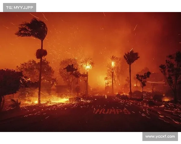 烈焰中的冒险旅程:揭开火焰之地隐藏的神秘与危险 烈焰中的冒险旅程:揭开火焰之地隐藏的神秘与危险