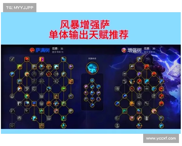 元素萨满高效输出循环全面解析与实用技巧指南 元素萨满高效输出循环全面解析与实用技巧指南