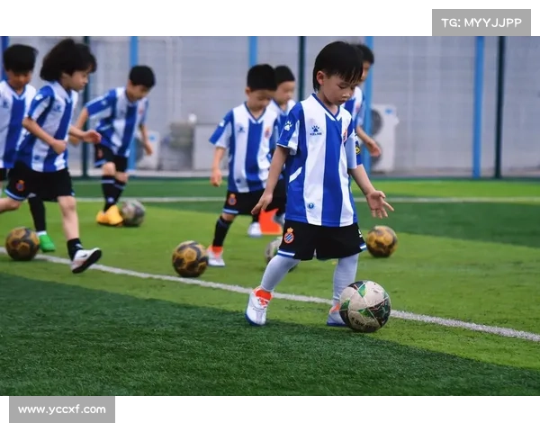 巴舒亚伊精通多国语言展现足球与文化交融魅力